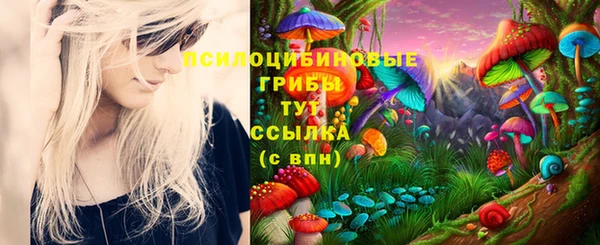кокаин Алексеевка