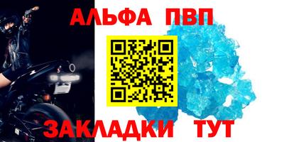 твердый Кингисепп