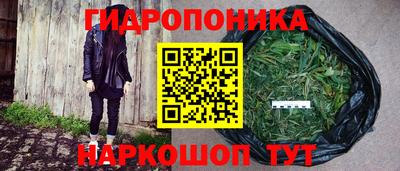 винт Камышлов