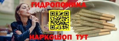 твердый Кингисепп
