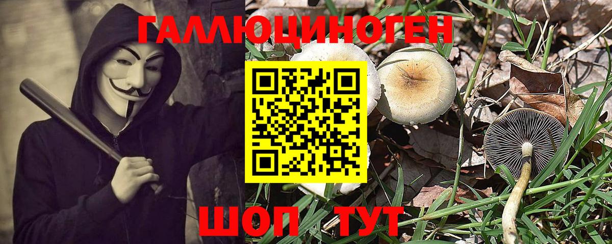 Псилоцибиновые грибы мухоморы Лысьва